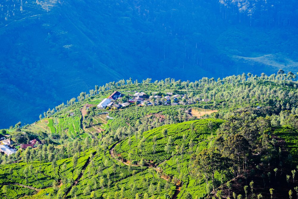 Misty Mountains & Tea Country Escapes